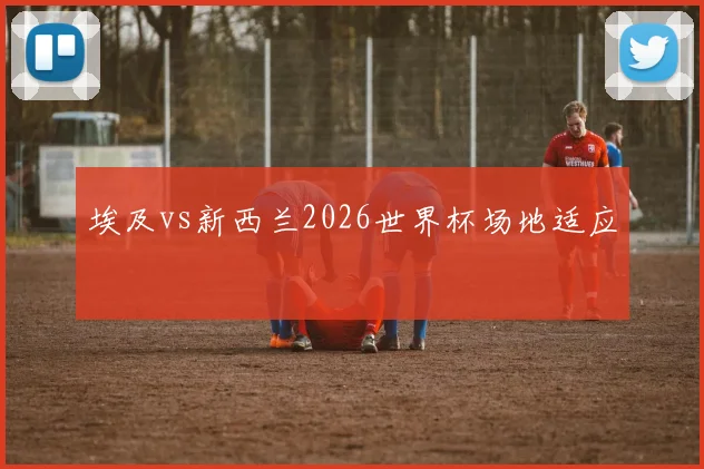 埃及vs新西兰2026世界杯场地适应