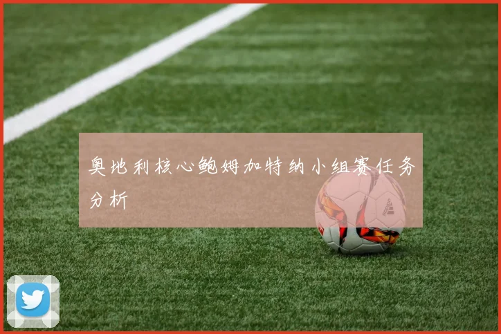 奥地利核心鲍姆加特纳小组赛任务分析