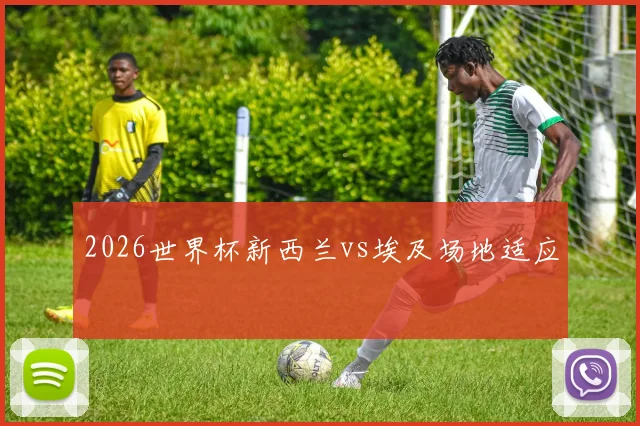 2026世界杯新西兰vs埃及场地适应
