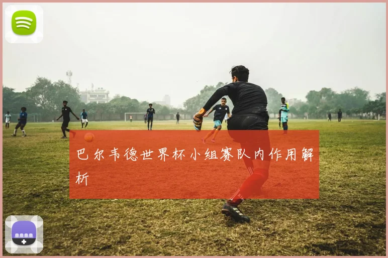 巴尔韦德世界杯小组赛队内作用解析