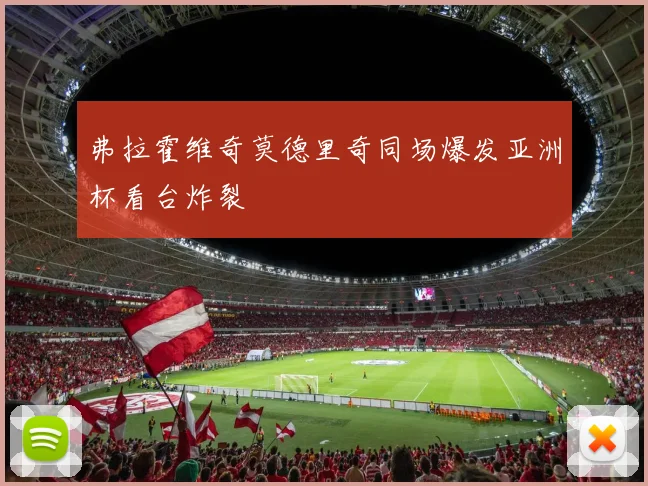 弗拉霍维奇莫德里奇同场爆发亚洲杯看台炸裂