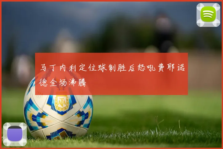 马丁内利定位球制胜后怒吼费耶诺德全场沸腾