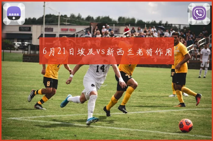 6月21日埃及vs新西兰老将作用