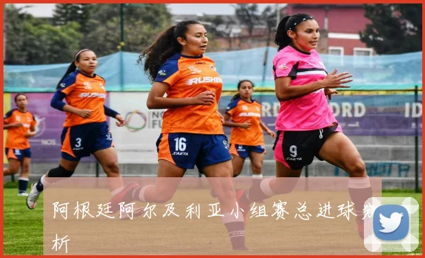 阿根廷阿尔及利亚小组赛总进球分析