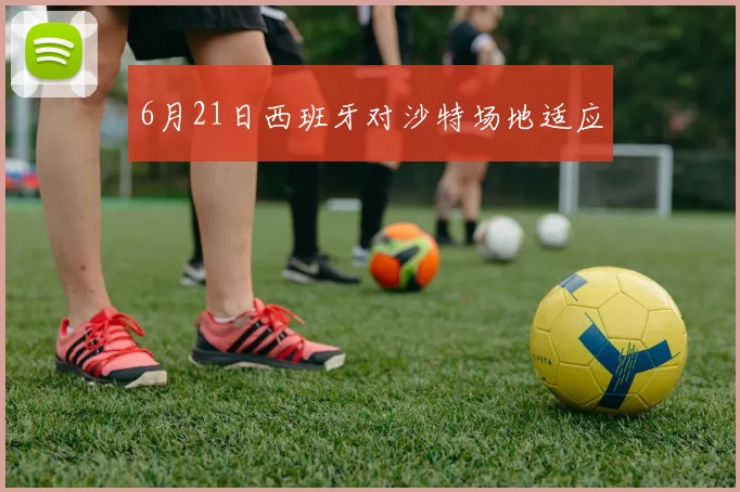 6月21日西班牙对沙特场地适应